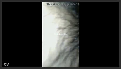 Clip Anh ơi em chết mất Địt nhầm em thích khẩu dâm =))