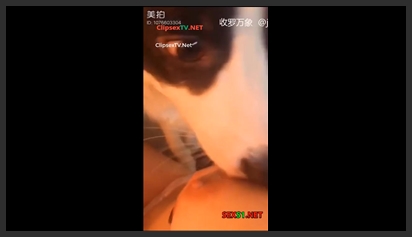 Gái Trung Quốc Nuôi Chó Cũng Để Địt