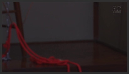 Huấn luyện nữ sinh trở thành thú cưng tình dục