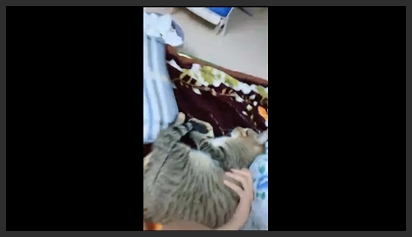 Làm Tình Với Em Gái Trung Quốc 45 Phút Tự Quay