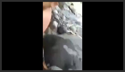 Nhóm bạn trẻ ra bờ suối chịch nhau cực phê