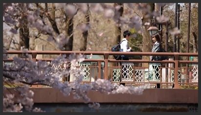 Sự cố trại hè khi tôi chung phòng với lớp trưởng