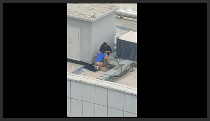 Trên sân thượng, họ có cuộc tình dục