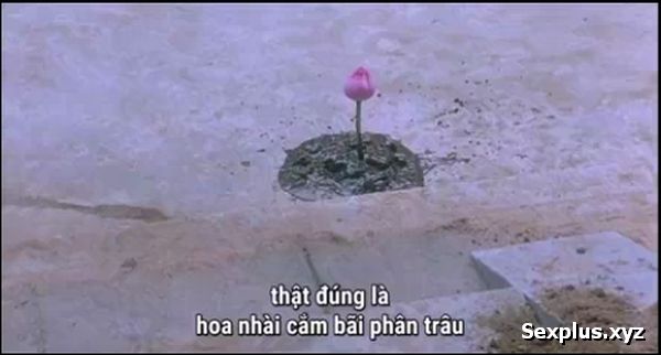 sex Arisa Misato vú to xinh đẹp phim sex khong che