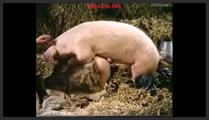 2 Chàng Cùng Địt Em Gái Mình Dây phim sex khong che