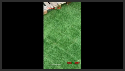 Đã 2 Tuần Rồi Anh Chưa Được Chịch phim sex khong che