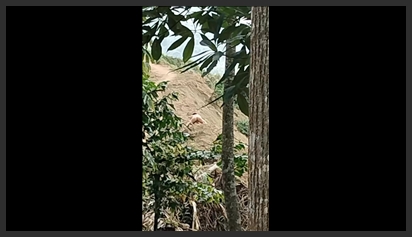 Đồng Linh Chống Tối Cổ Cho Anh Em phim sex khong che