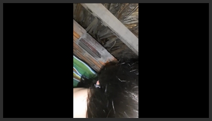 Đưa Em Gái Mới Lớn Vào Đời ( Nó Chưa Cứng ) phim sex khong che