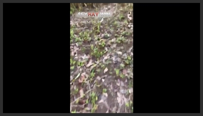 Cặp đôi địt nhau trong nhà vệ sinh bị quay lén tung lên mạng phim sex khong che