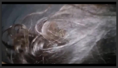 Màn Thủ Dâm Cực Hay Của Bé Dung Baby Nóng Bỏng phim sex khong che