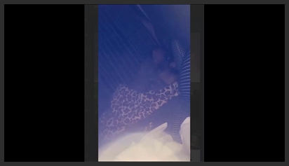 Trong lớp học, Kyler Quinn gạ tình với nhà giáo dục phim sex khong che